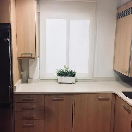 Dos Torres Bilbo Puerta Del Carmen Daire